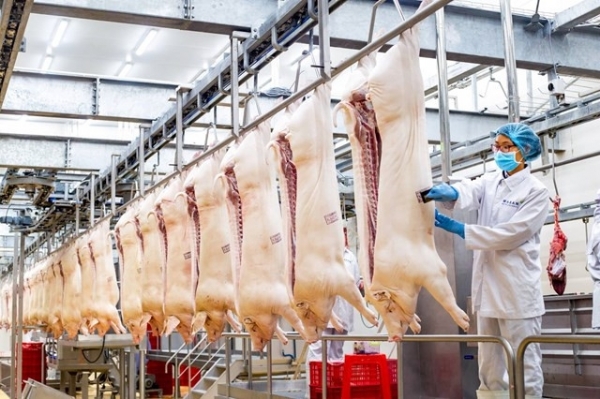 Dây chuyền giết mổ lợn lớn nhất tại Việt Nam