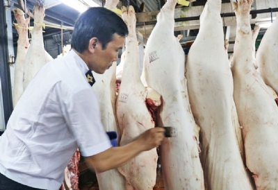 Chấn chỉnh công tác kiểm soát giết mổ, đặc biệt với lợn chết, bệnh