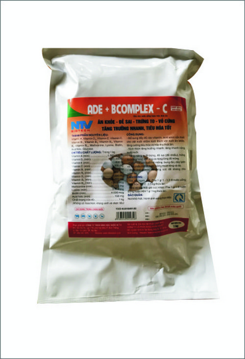 ADE + BCOMPLEX – C| Tăng Để Trứng