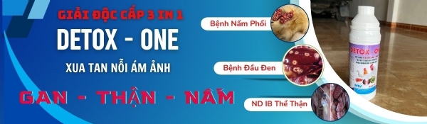 can-dien-tu-camry-sieu-mong-hoa-tiet-hoa-van-eb-9301-s109