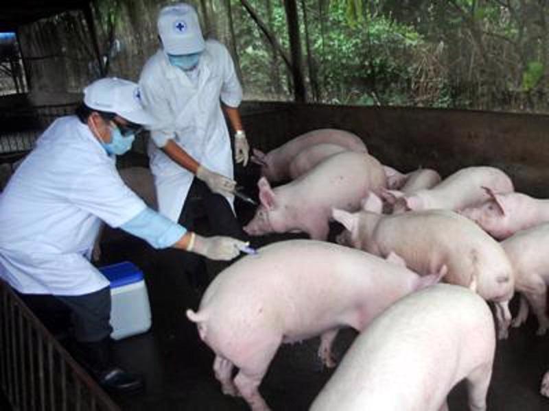 Nghiệm thu đề tài “Nghiên cứu đặc điểm tình hình bệnh dịch tả lợn châu Phi trên địa bàn tỉnh Bắc Giang và biện pháp phòng, chống”